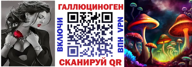 Псилоцибиновые грибы Cubensis Фурманов