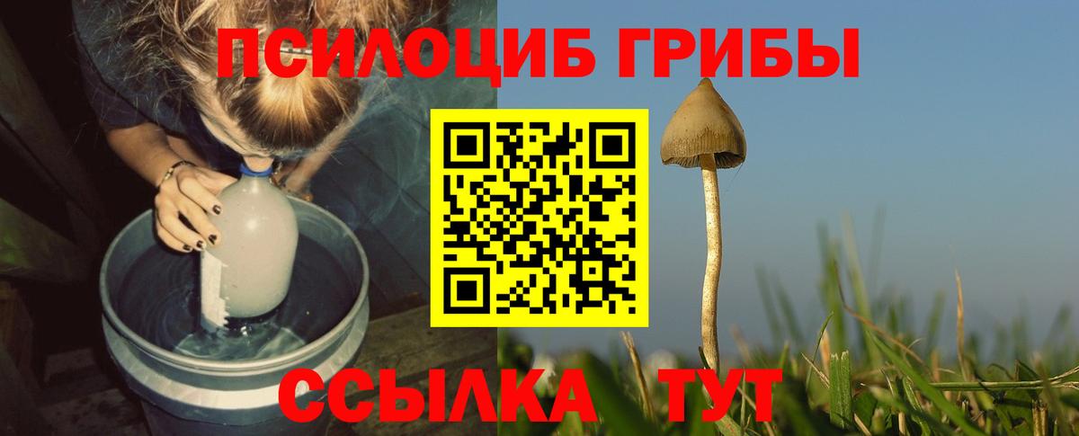 Галлюциногенные грибы Magic Shrooms Фурманов