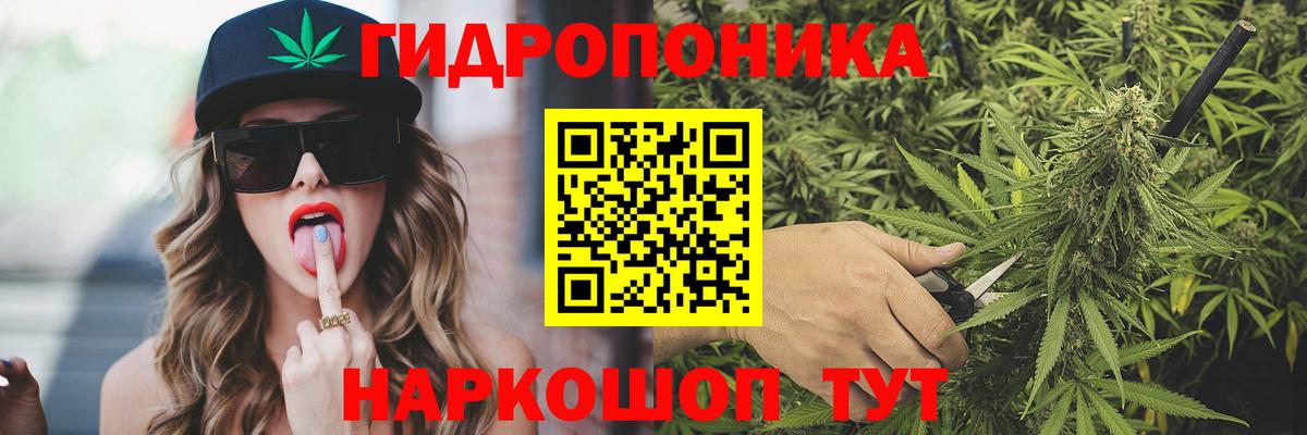 Марихуана план Фурманов